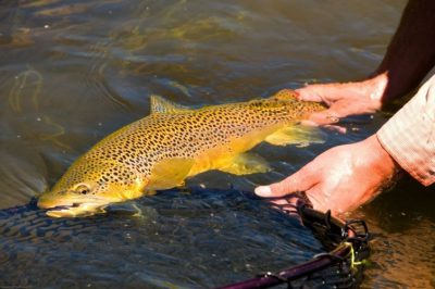 Montana Fishing Epick Travel