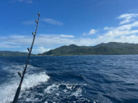 Three-Island Mobile Fly-Fishing Experience