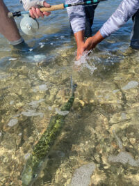 3-Island Fishing Adventure Honduras