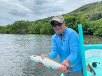 Fish Bay Islands Honduras