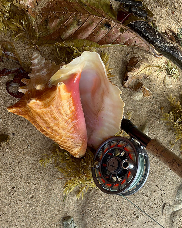 Honduras Fishing Adventure