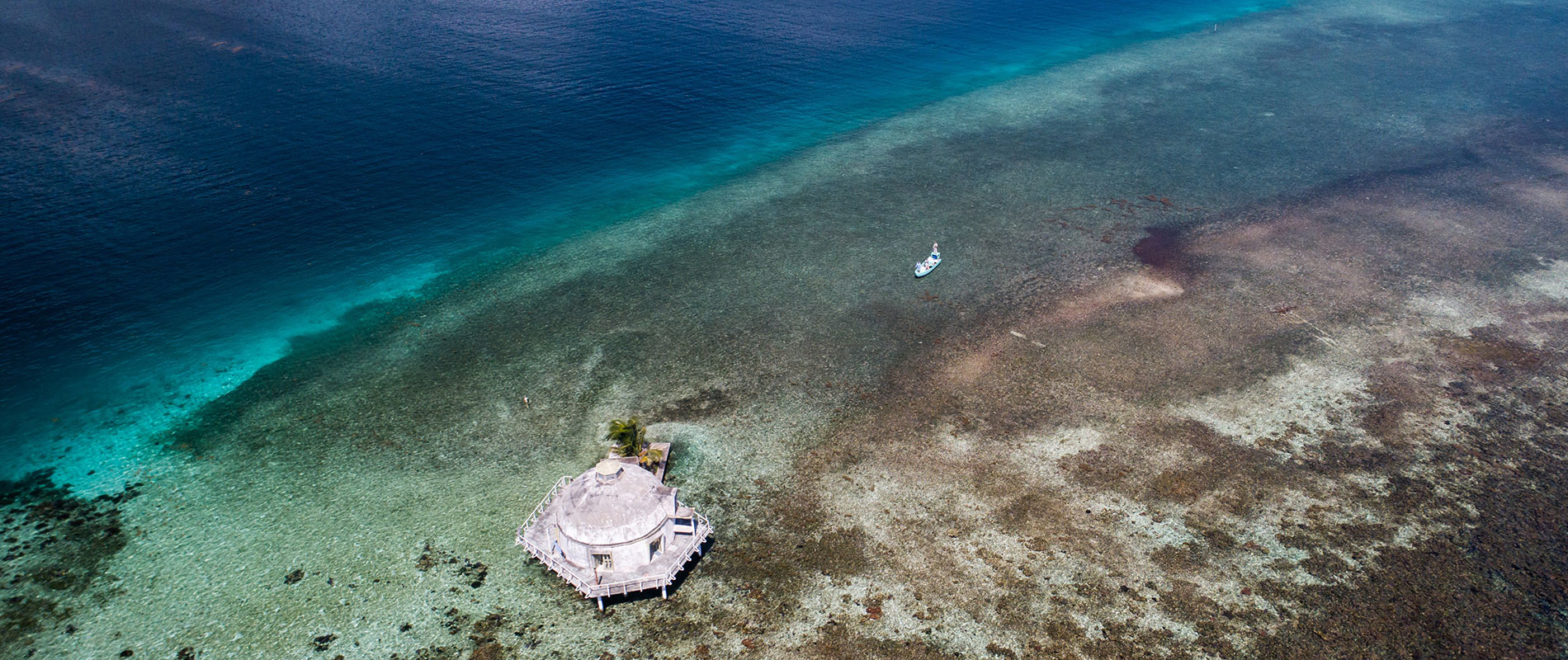 Bay Islands Fishing Honduras