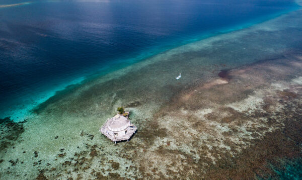 Bay Islands Fishing Honduras with Capt Kyle