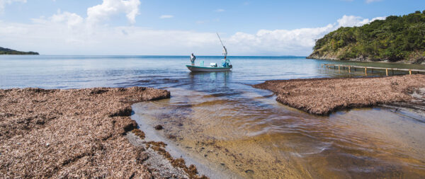 Bay Islands Fishing Honduras