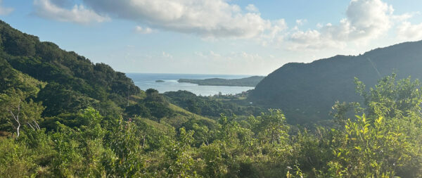Bay Islands Fishing Honduras