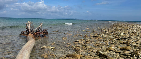 Honduras Fishing Adventure