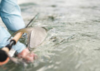 3-Island Fishing Adventure Honduras