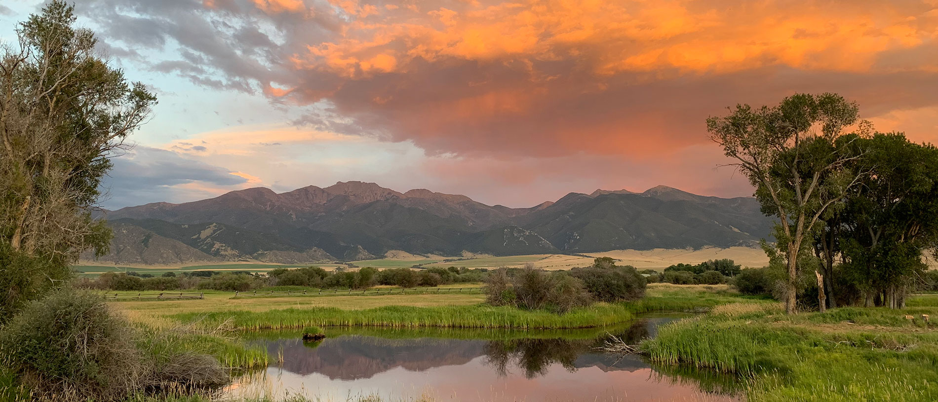 Fly Fishing Southwest Montana