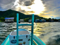 Honduras Fishing Adventure