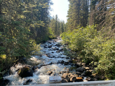 Montana Fishing at Epick Ranch